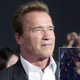 Illustration for article titled Schwarzenegger Admits To Affair With Predator Costume